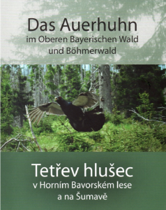 auerhhn_buch