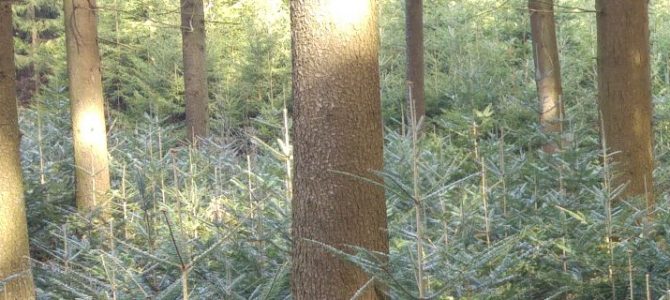Die Bauernjäger Die Bauernjäger