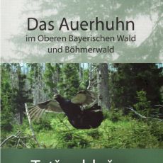 Das Auerhuhn im Oberen Bayerischen Wald und Böhmerwald