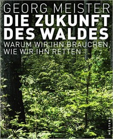 Die Zukunft des Waldes: Warum wir ihn brauchen, wie wir ihn retten