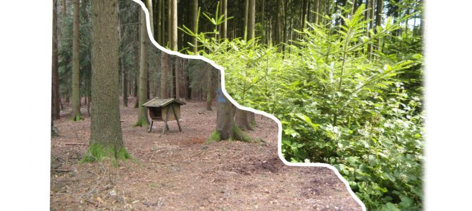 Wildbiologisches Fachseminar – von Waldbesitzern für Waldbesitzer Wildbiologisches Fachseminar – von Waldbesitzern für Waldbesitzer